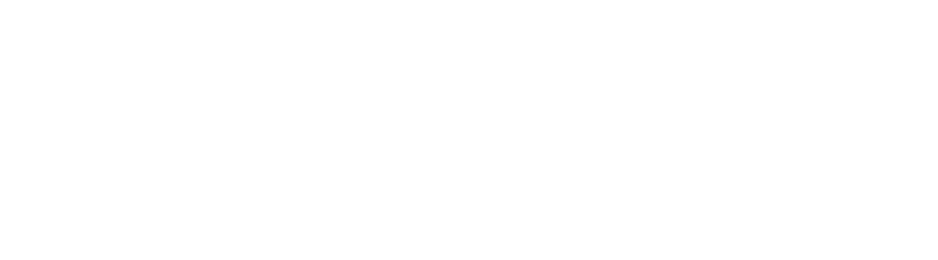 Wirtschaftsjunioren Schwerin